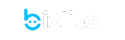 Bizlite Solutions